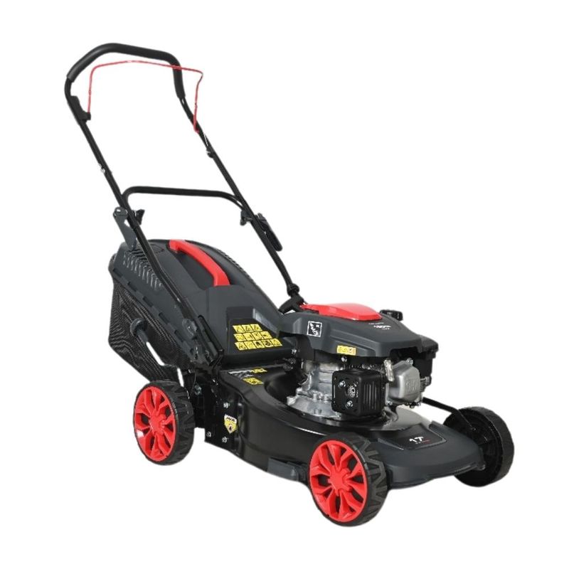 image-87f1500c18ed44e697f7a66c878f4c29
