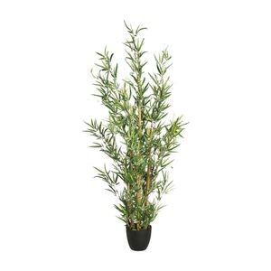 Bambú 120cm + Maceta Atmosphera