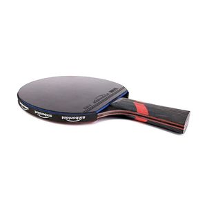 Paleta de Tenis de Mesa Profesional