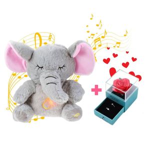 Pack San Valentin Peluche Elefante  con Joyero Verde y Joyeria Sorpresa