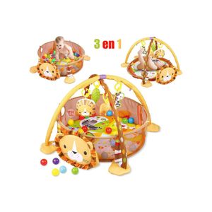 Gimnasio de Actividad Circular con Pelotas Leon