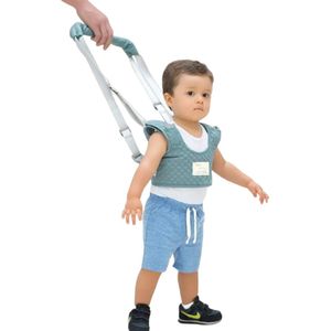 Arnes Caminador Labrado Aiebao Azulito
