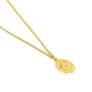 Collar Zodiac Capricornio Bañado en Oro