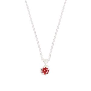 Collar con Circón Rojo de Plata 925