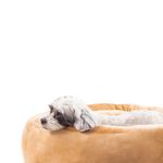 imageUrl_3