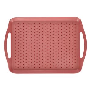Bandeja Plástica Con Antideslizante 32x46,2x4,1 cm