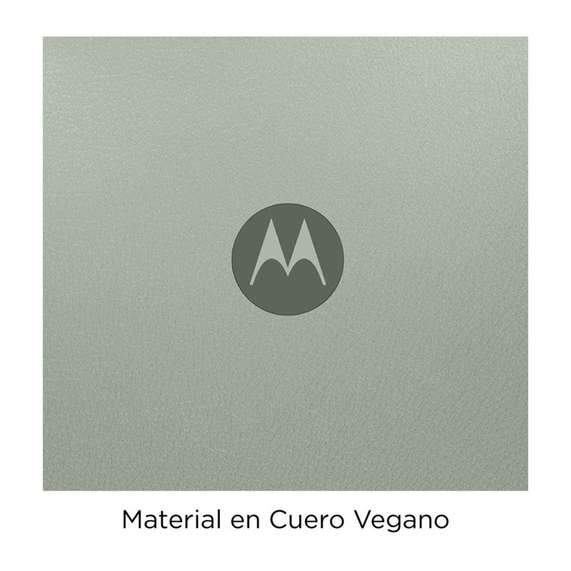 image-e466e67e3d074505b8593fd45f01e91c