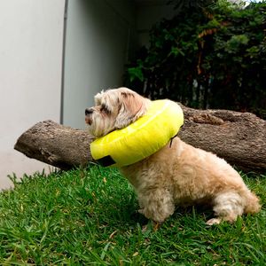 Collarín Donut Talla XS Lemon