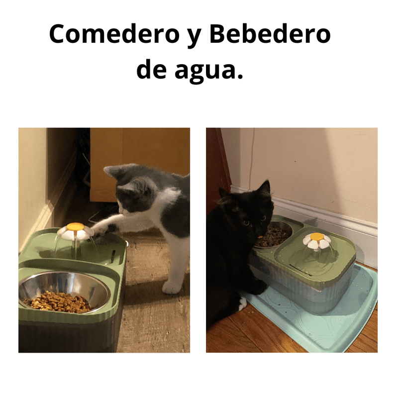 image-a45e50e52ea74abeb16de752b49e9b7b