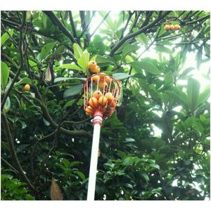 Recolector de frutas truper sin mango