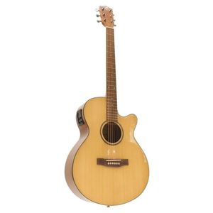 Guitarra Electroacústica Bamboo Spruce
