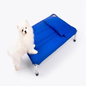Cama Para Perro Tipo Hamaca Talla M - Azul + Almohada Gratis De Regalo