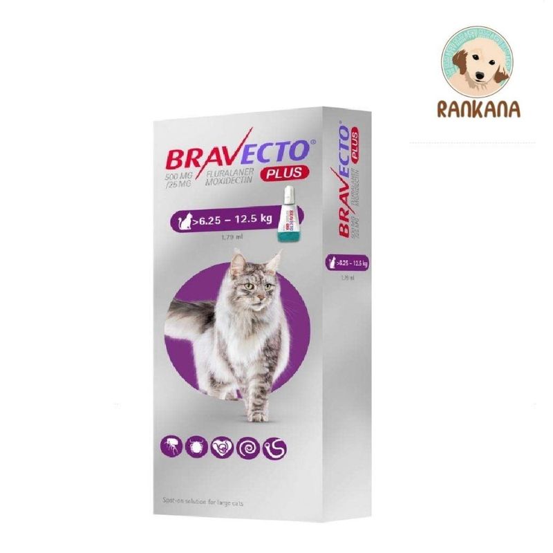 image-1e323ead3b9c4d5b91f2c159e55dad61