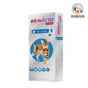 Antipulgas para Gato Bravecto Plus Pipeta de 2.8 a 6.25 kg