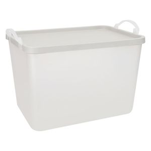 Caja Plástica con Tapa y Asas 16 L