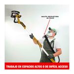 imageUrl_5