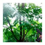 imageUrl_4