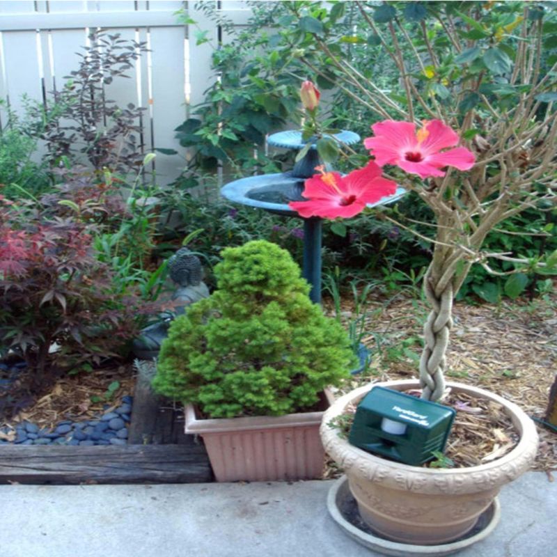 imageUrl_14