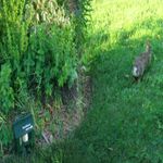 imageUrl_15