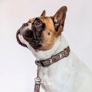 Collar Hey Magi.co Troya Talla L