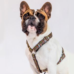 Pechera Hey Magi.co Troya Talla S