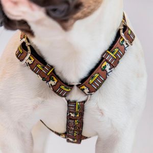 Pechera Hey Magi.co Troya Talla S