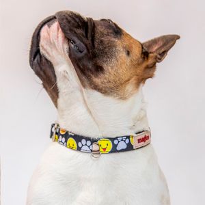 Collar Hey Magi.co Good Dog Talla L