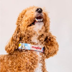 Collar Hey Magi.co Bacon Talla M