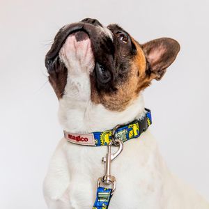 Collar Hey Magi.co Nomade Talla M