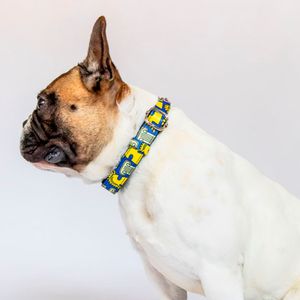Collar Hey Magi.co Nomade Talla M