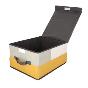 Caja Organizadora con Tapa para Clóset 28x36x19 cm