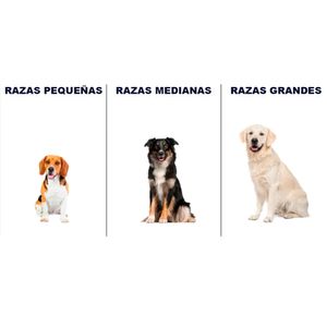 Pipeta concentrada antipulgas - PARA PERROS 5kg - 10kg