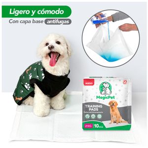 Pack x5 Pañales para Mascotas Super Absorbente Talla L 10 UND HY6