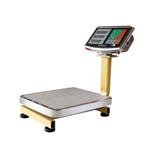 Balanza de Plataforma Premium 60kg