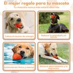 imageUrl_6