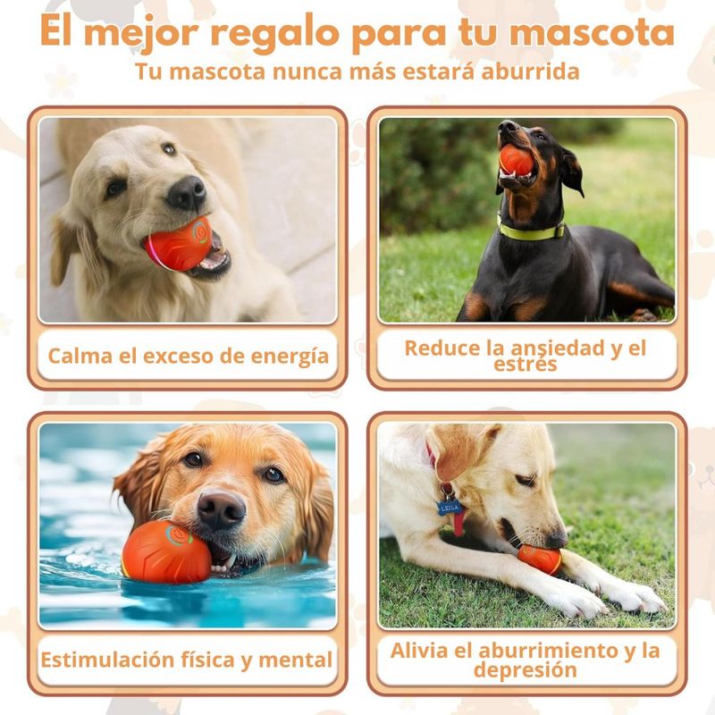 imageUrl_6