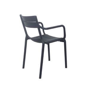 Silla de Comedor con Reposabrazos Campito Gris