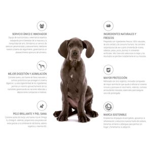 Pack x2 Comida para Perro Adulto Mio Cane Premium 15 kg