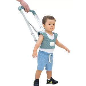 Arnes Celeste Para Caminar Aiebao