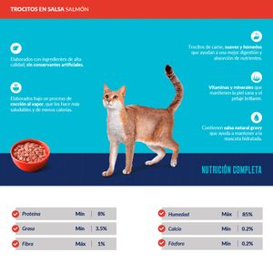 Pack x5 Comida Húmeda para Gato Ricocat Salmón 85gr