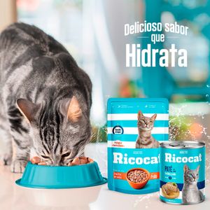 Pack Caja x15 Comida Húmeda para Gato Ricocat Marinos 85gr