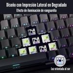 imageUrl_5