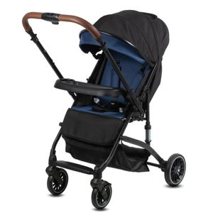Coche de Paseo para Bebé «ANDALE» con Mango Reversible Azul