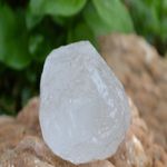 imageUrl_1
