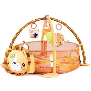 Gimnasio de Bebe Didáctico 3 en 1 con Pelotas Leon
