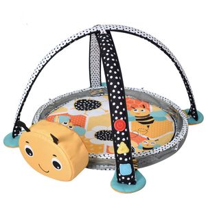 Gimnasio Musical Con Luces y Pelotas De Color