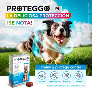 Antipulga Masticable Proteggo 1M para Perros de 20 - 40 kg