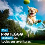 image-1cf5577149e349b7af7a5915d97a42e8
