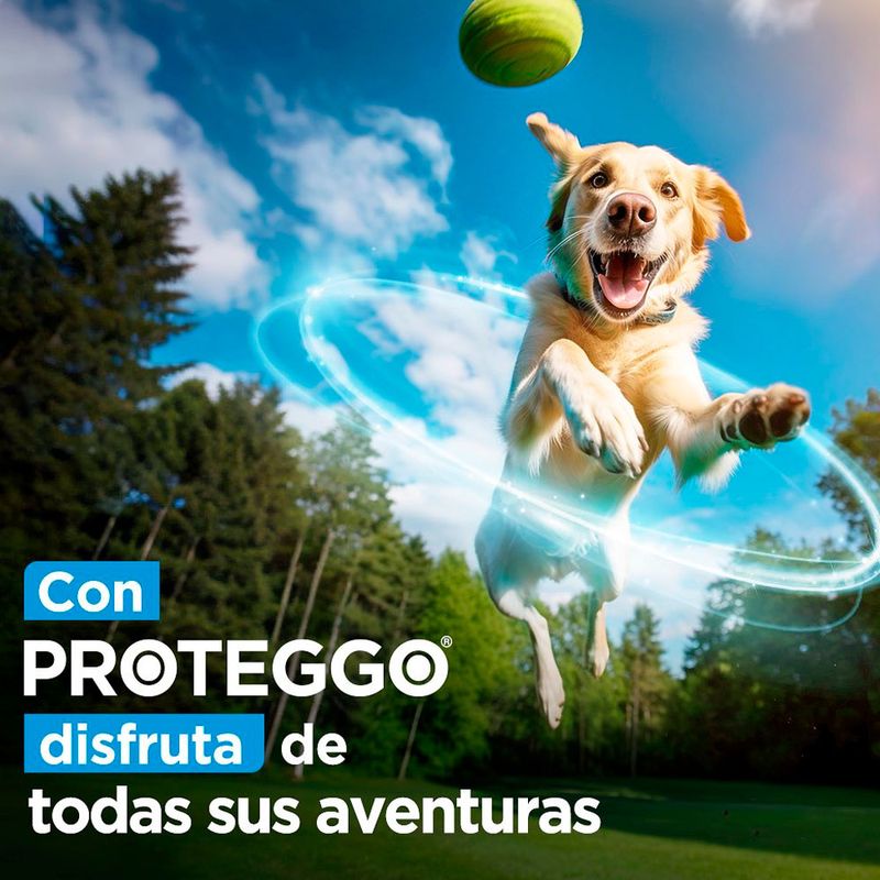 image-1cf5577149e349b7af7a5915d97a42e8