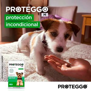 Antipulga Masticable Proteggo 1M para Perros de 2 - 4.5 kg